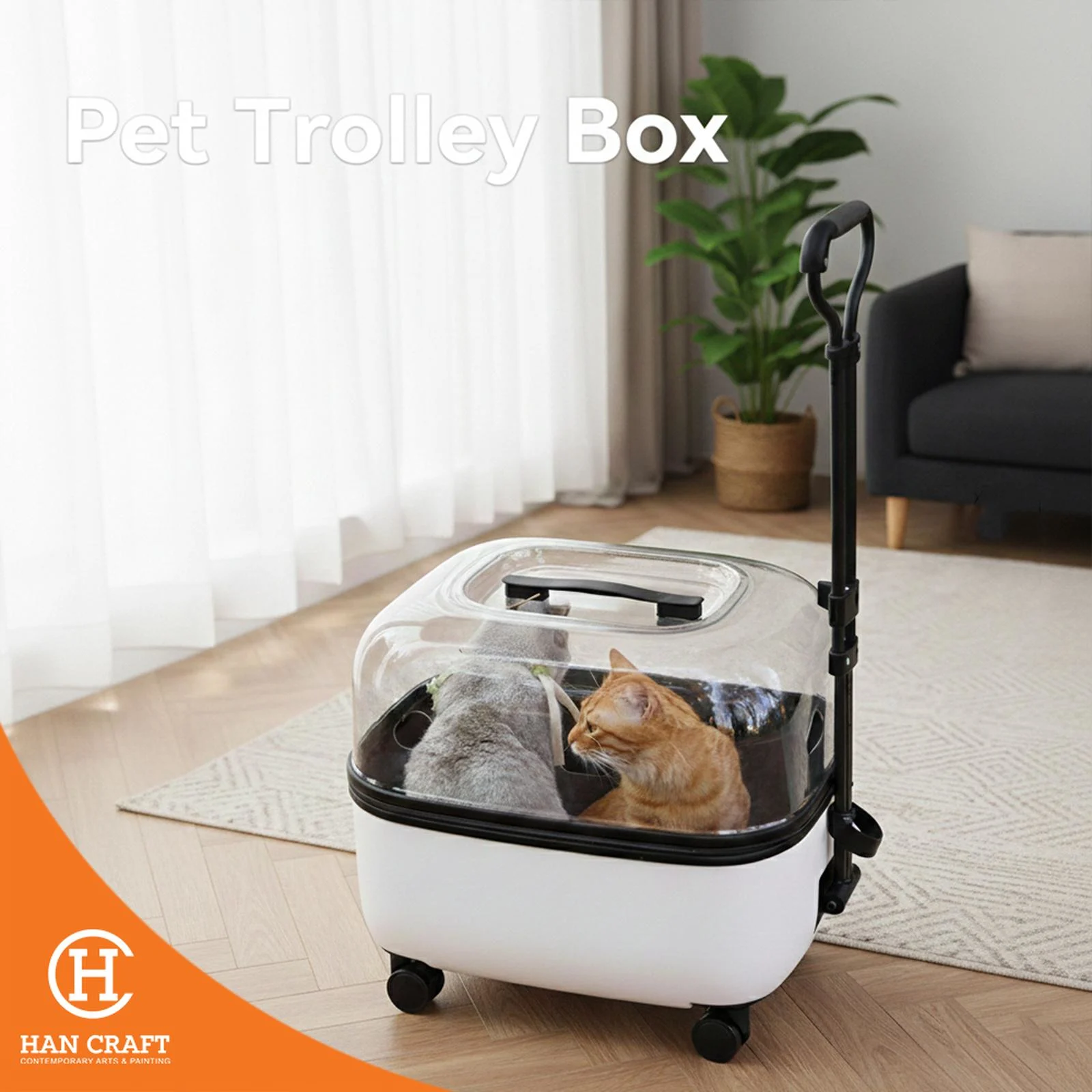 fffshxjslim0pwlydr7y Pet Trolley Box ( Pre-Loved )